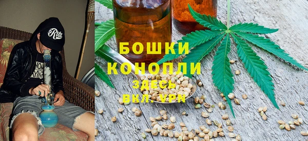 спиды Михайловка