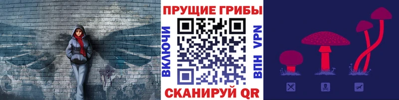 Галлюциногенные грибы прущие грибы  ссылка на мегу онион  Шлиссельбург  продажа наркотиков 